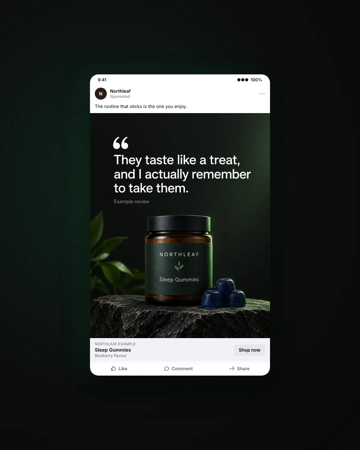Feed ad mockup: review quote static ad labelled as an example review